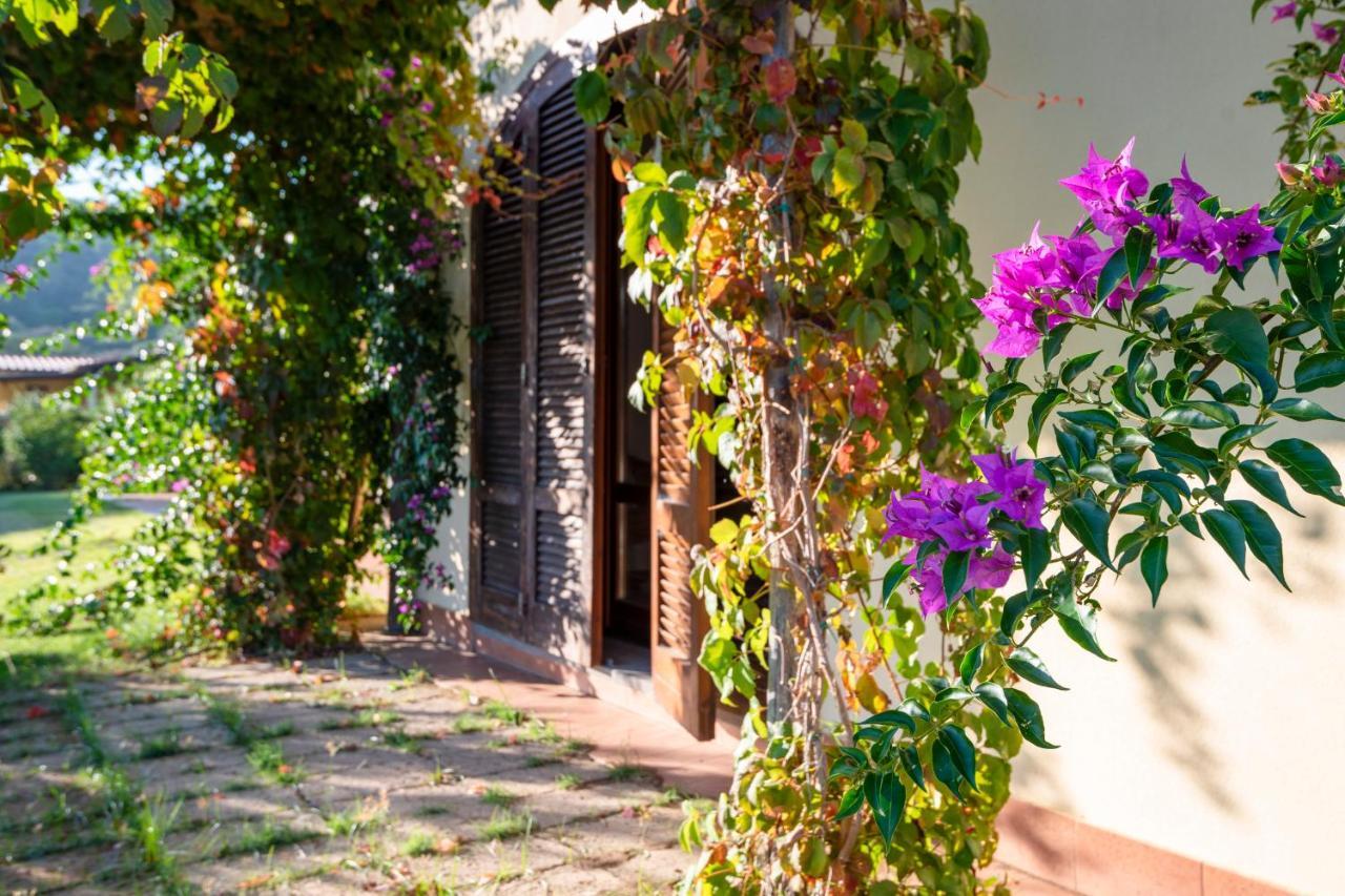 Agriturismo Terre Di Castiglione Castiglione della Pescaia Exterior photo