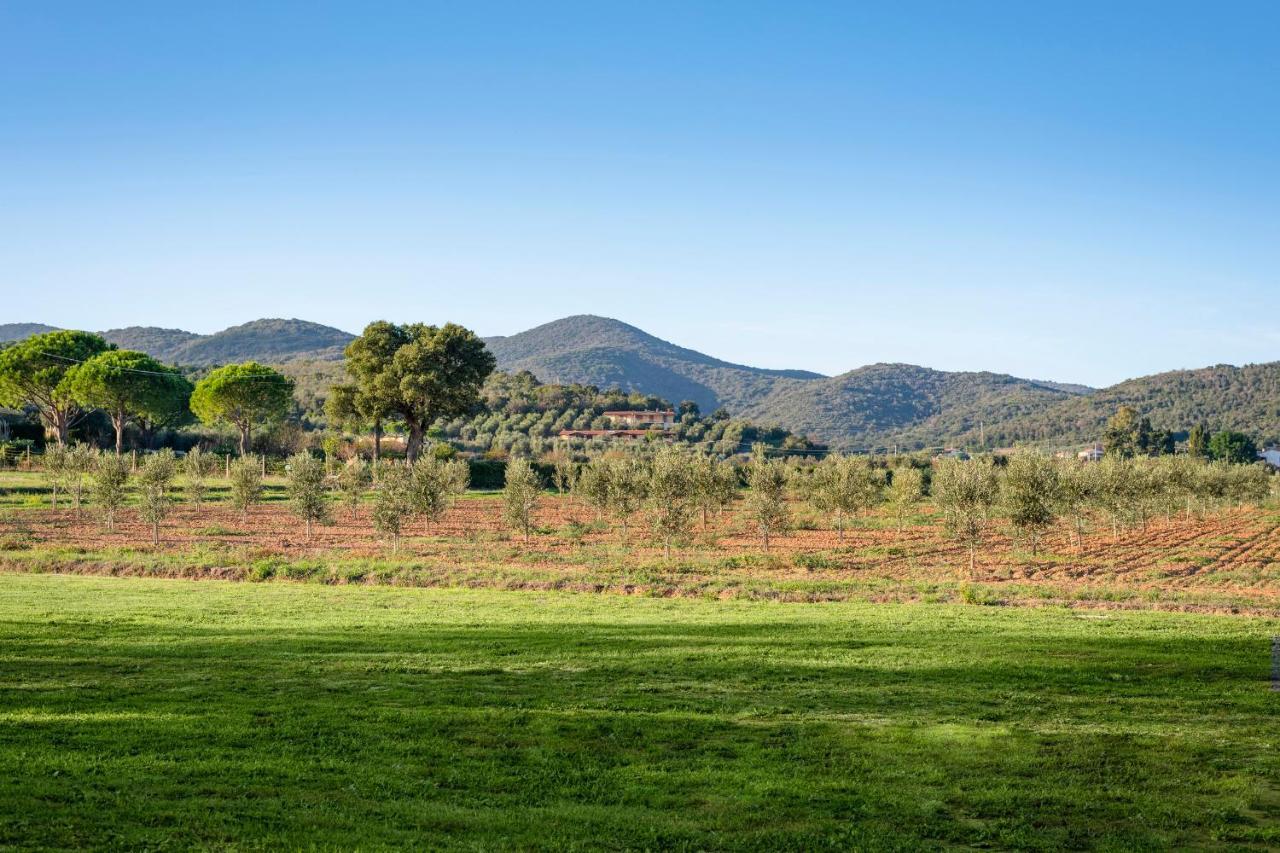 Agriturismo Terre Di Castiglione Castiglione della Pescaia Exterior photo